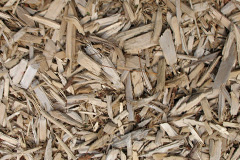 biomass boilers Quilquox