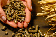 free Quilquox biomass boiler quotes